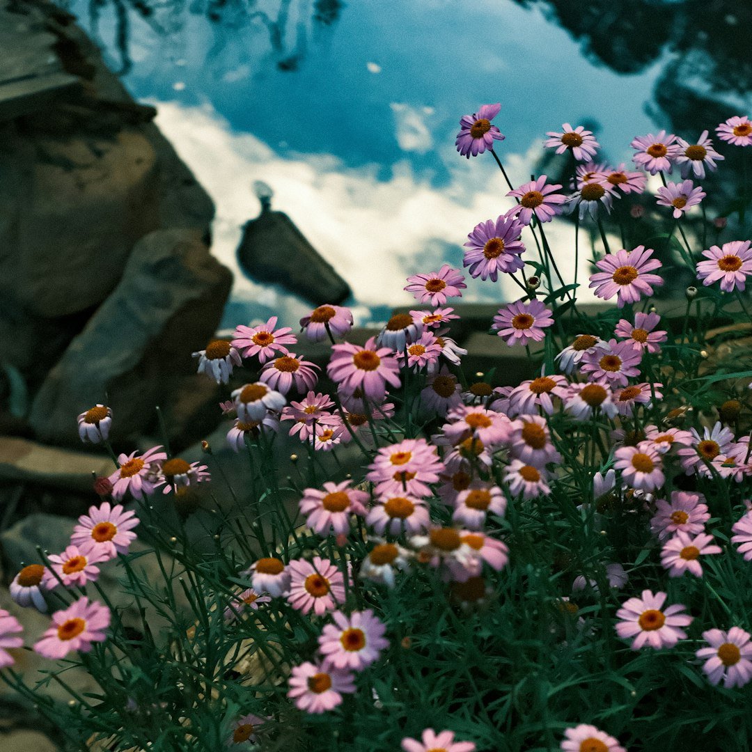 Self Care Aesthetic Pictures Your Ultimate Guide to Relaxation and Wellness self care aesthetic pictures section 4