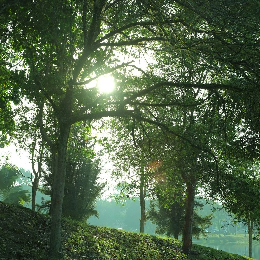 1. Nature Escapes for the Win