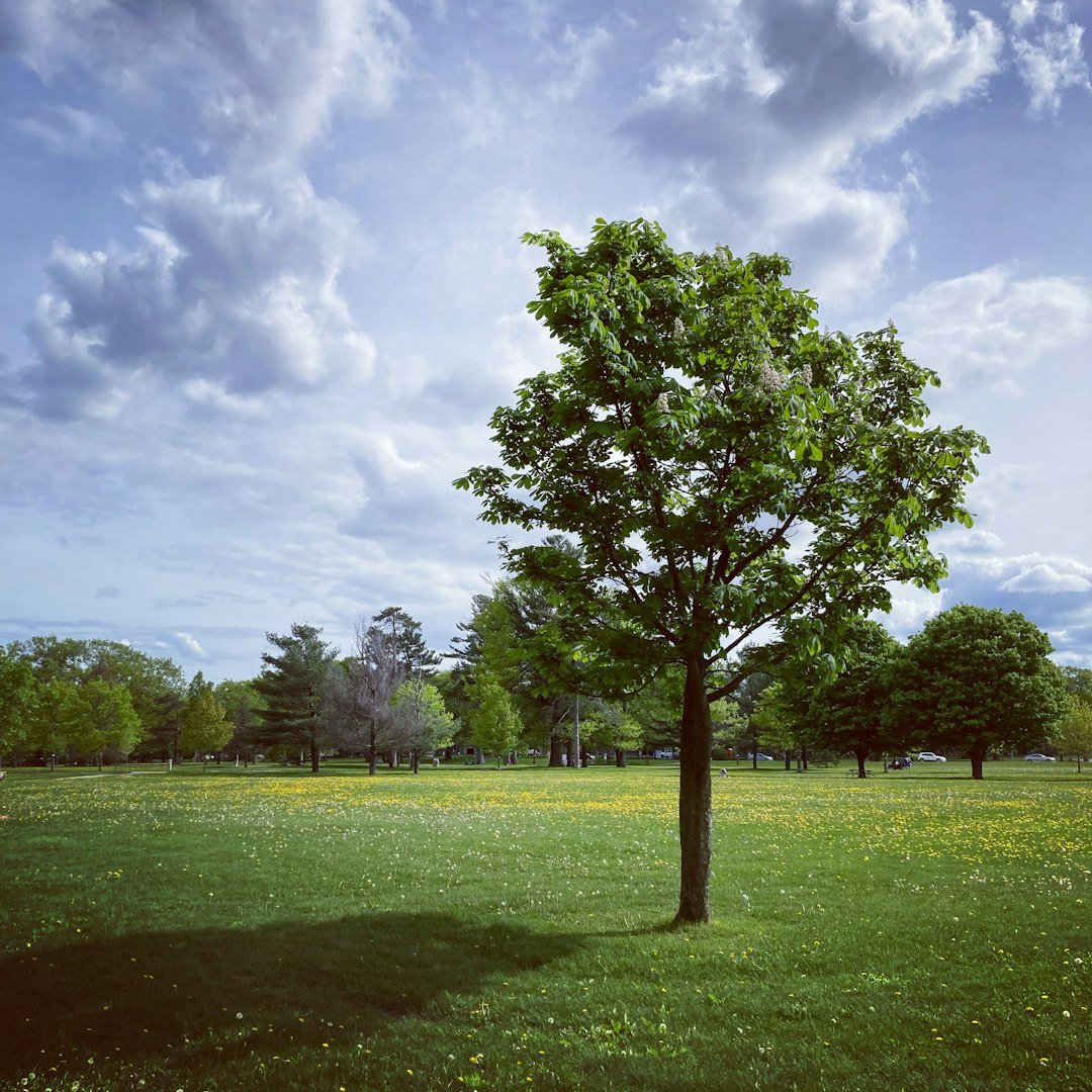 11. Practice Forgiveness