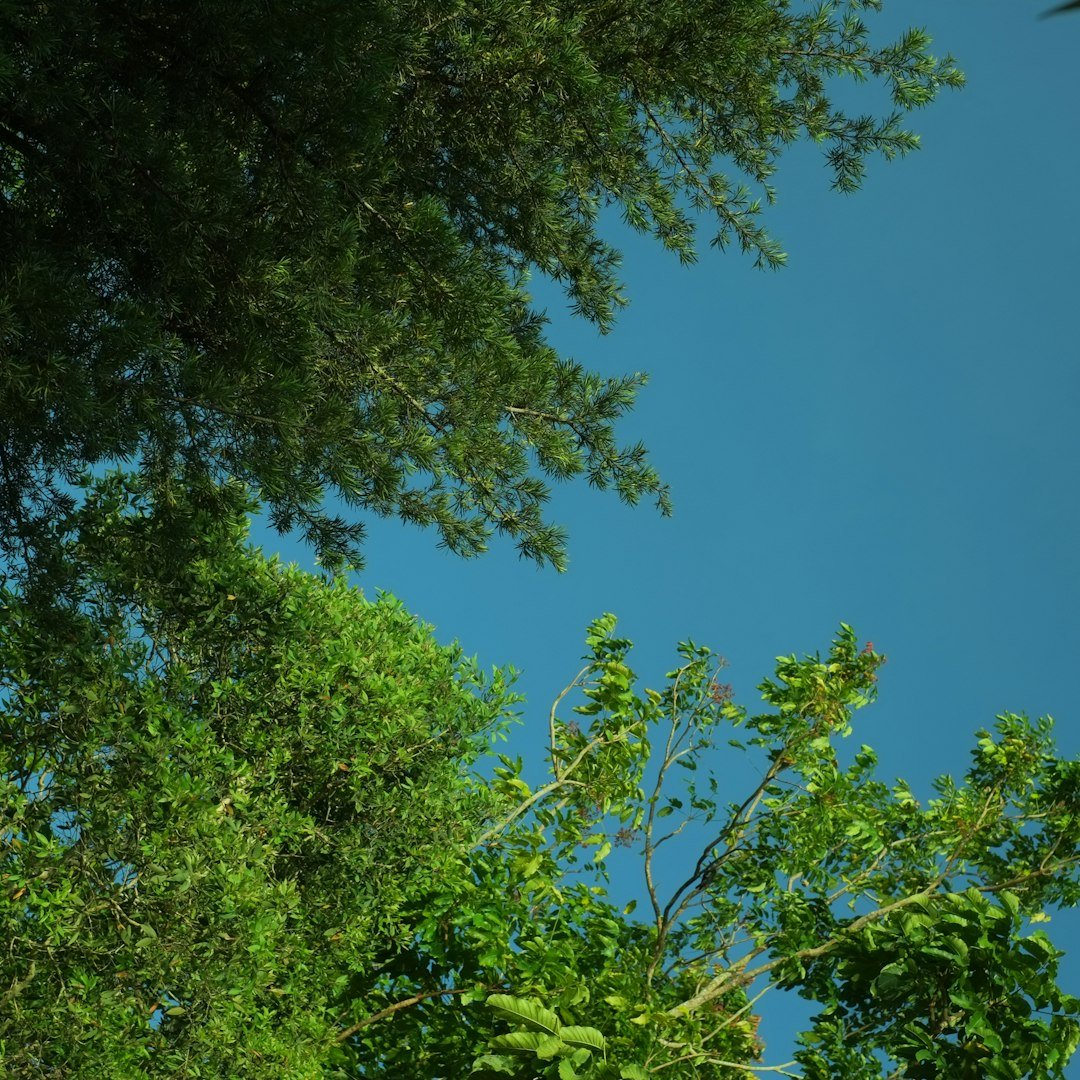 2. Practice Mindfulness through Meditation