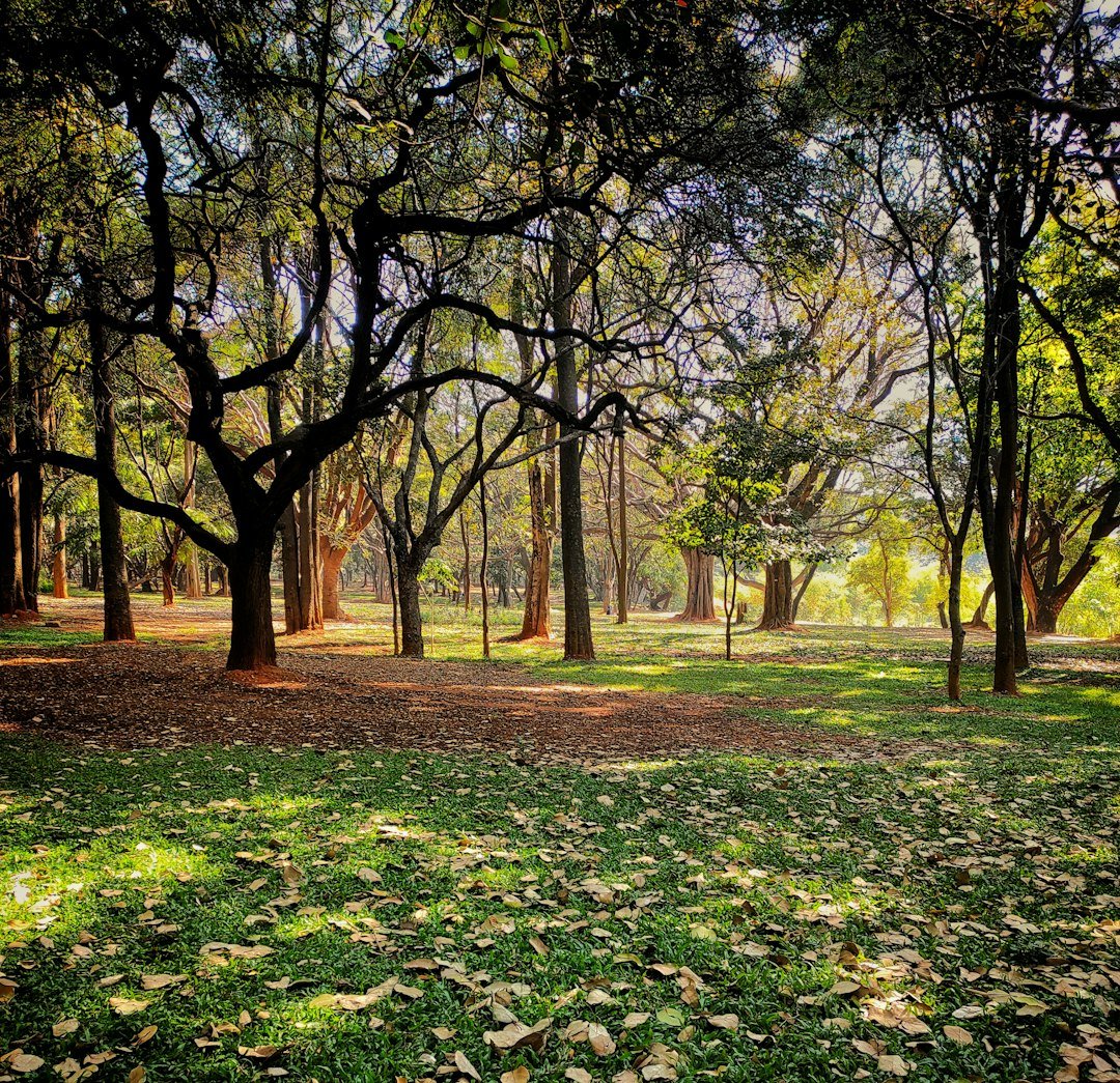 4. Connect with Nature