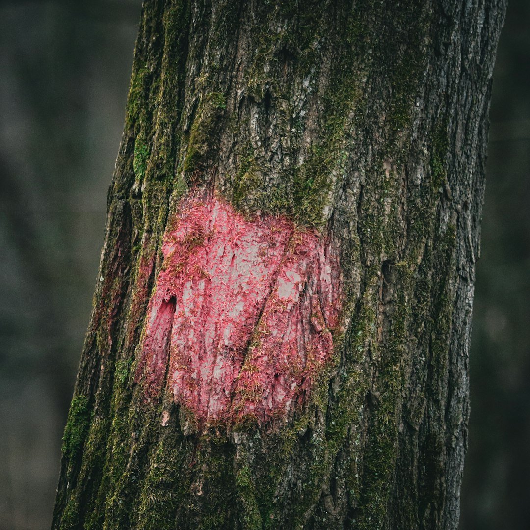 21. Practice Forgiveness