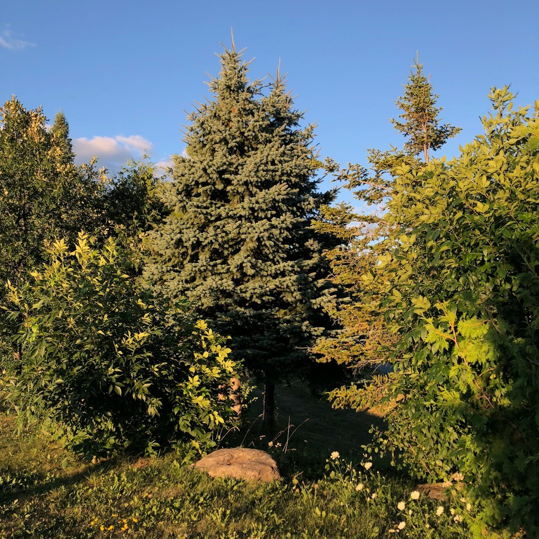 5. Connect with Nature