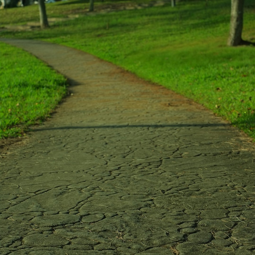 Self Care 101 Prioritizing Your Mental and Physical Well-being self care section 5