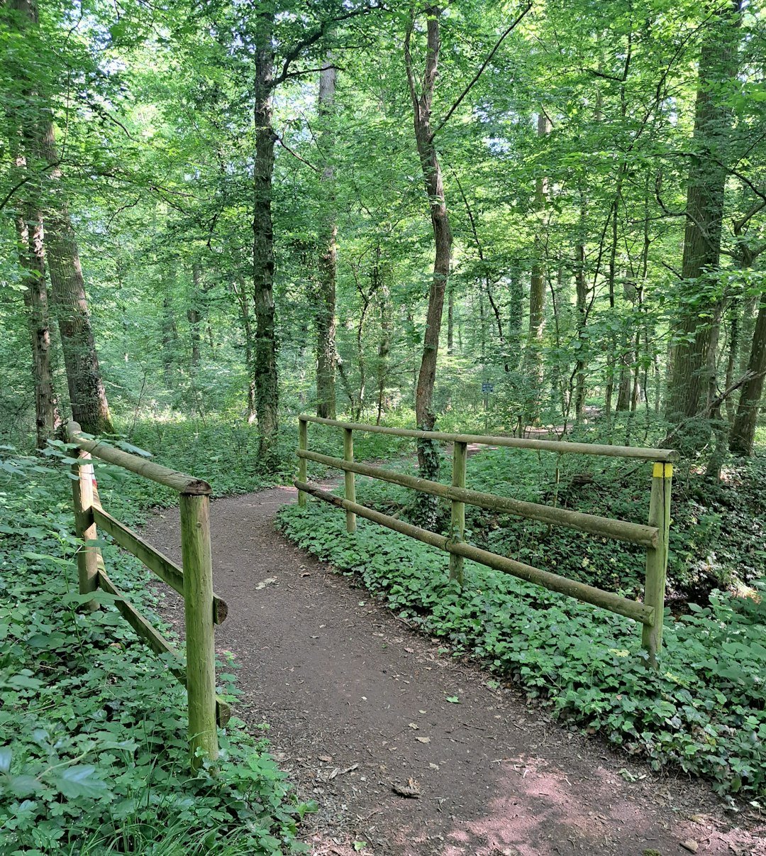 self care night section 14