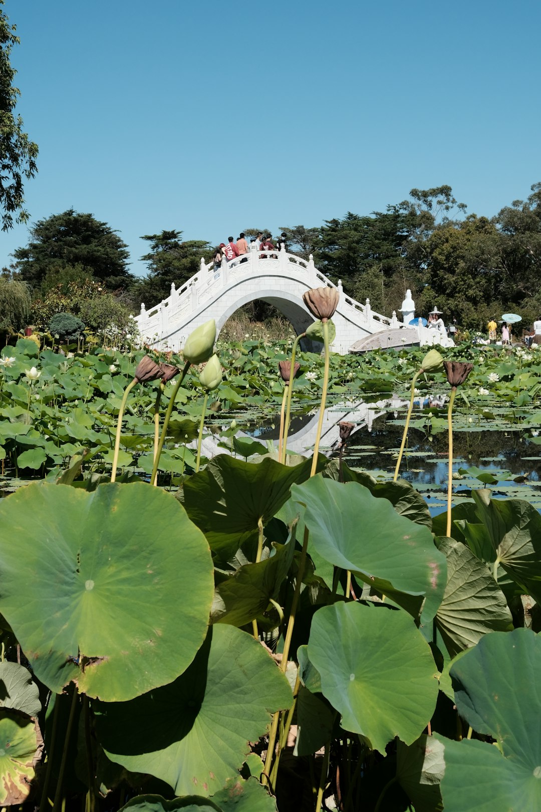 unsplash person meditating in a peaceful outdoor environment 6oinnbwnuhi